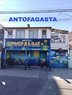 Pampaloja
