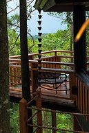 The Grand Forest Jarabacoa