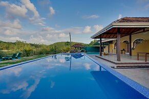 Treetop Resort