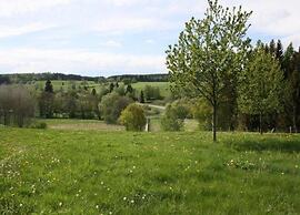 Ferienhaus mit Kamin in Thale-friedrichsbrunn