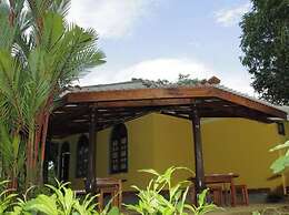 Forest & Fields Sinharaja