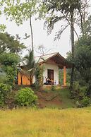 Forest & Fields Sinharaja