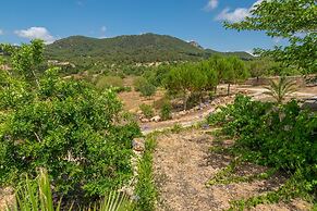 S'albarcoquer - Villa With Private Pool In S'horta
