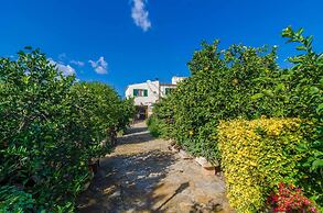 Can Rius - Villa With Private Pool In Muro