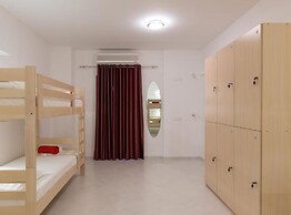 Hostel Free Bird