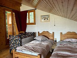 Chalet With Mesmerizing Mountain View