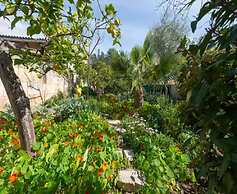 Construcciones Balaguer - Villa With Private Pool