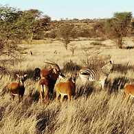 Gamagara Africa private nature reserve