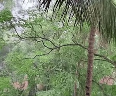 Jeet Hostel and Rooms Palolem Goa