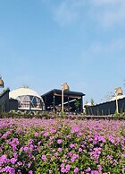 Olala Glamping
