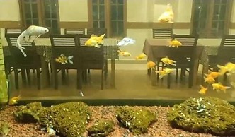 Seaflare Beach Resort & Spa