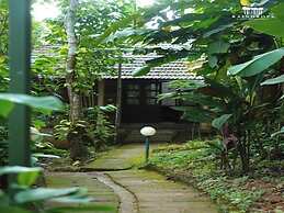 Raindrops Resort