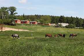 Ferienhaus am Garder See Inselblick