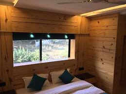 Hotel New Golden Veena