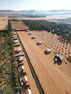 Unique Oasis Resort
