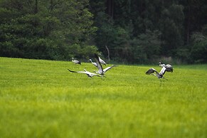 Ferienhaus am Garder See mit Panorama