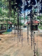 Bamboo Nest