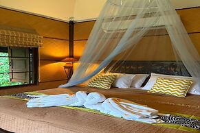 Palette Luxe Elephant Camp Maerim