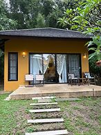 Palette Luxe Elephant Camp Maerim