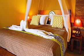 Palette Luxe Elephant Camp Maerim