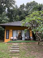Palette Luxe Elephant Camp Maerim