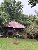 Palette Luxe Elephant Camp Maerim