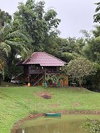 Palette Luxe Elephant Camp Maerim