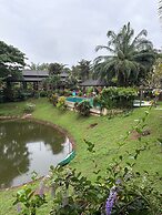 Palette Luxe Elephant Camp Maerim
