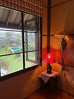 Palette Luxe Elephant Camp Maerim
