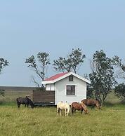 Cave Cabins