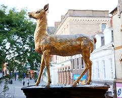 The Hind Hotel