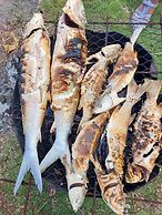 Flyfishing Anaa Toku Kaiga