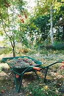 BEST VIEW