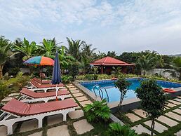 White Tree Resort