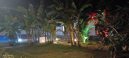 White Tree Resort