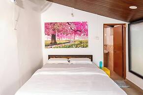 Olive Beach House
