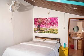 Olive Beach House