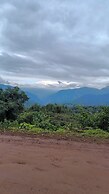 Entre Mangos y Tucanes