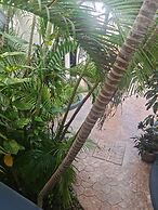 TJ Apartments, Calle 6, PDC