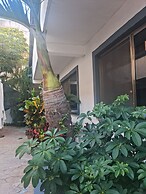 TJ Apartments, Calle 6, PDC