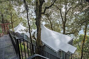 The Whispering Oaks