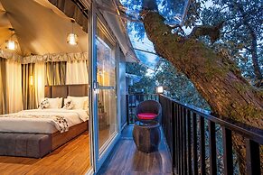 The Whispering Oaks