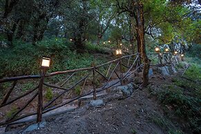 The Whispering Oaks