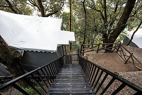 The Whispering Oaks