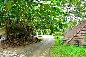 HOTEL TREETOP
