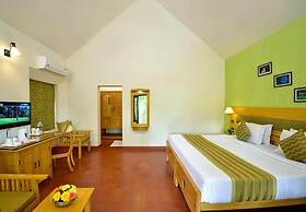 HOTEL TREETOP