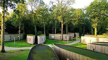 Serene Forest Getaway