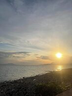 Jovillena Beach Resort Lobo Batangas