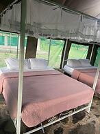 AMENITY TOURS & CAMPING - SERENGETI