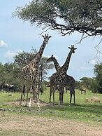 AMENITY TOURS & CAMPING - SERENGETI
